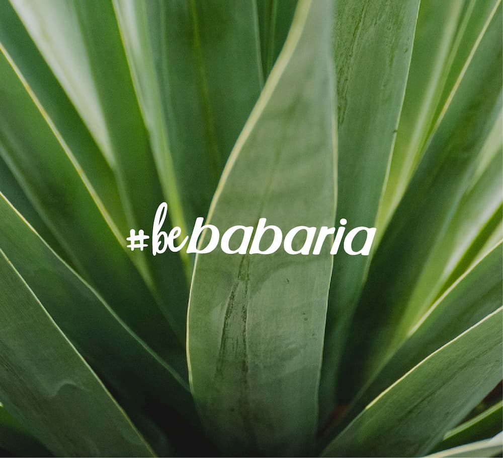 Read more about the article Babaria – veganske plejeprodukter