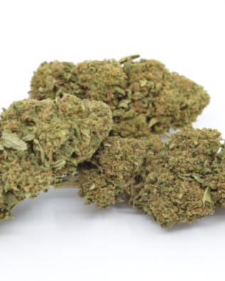 Swiss made cbd bud Amnesia Kush – 15% CBD Greenhouse (Kopier)