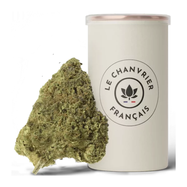 Le Chanvrier Français Mango kush CBD topskud