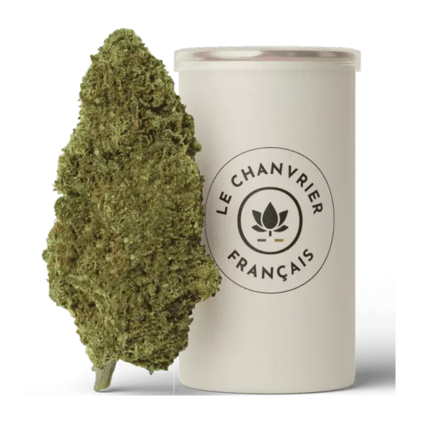 Le Chanvrier Français Cookie V2 CBD topskud