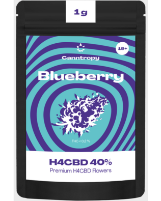 Canntropy H4CBD topskud Blueberry – 40 % H4CBD