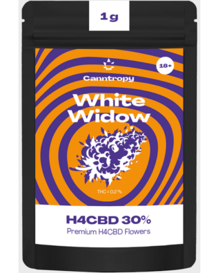 Canntropy H4CBD topskud White widow – 30 %